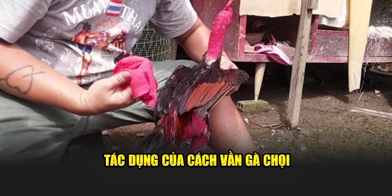 Tác dụng của cách vần gà chọi